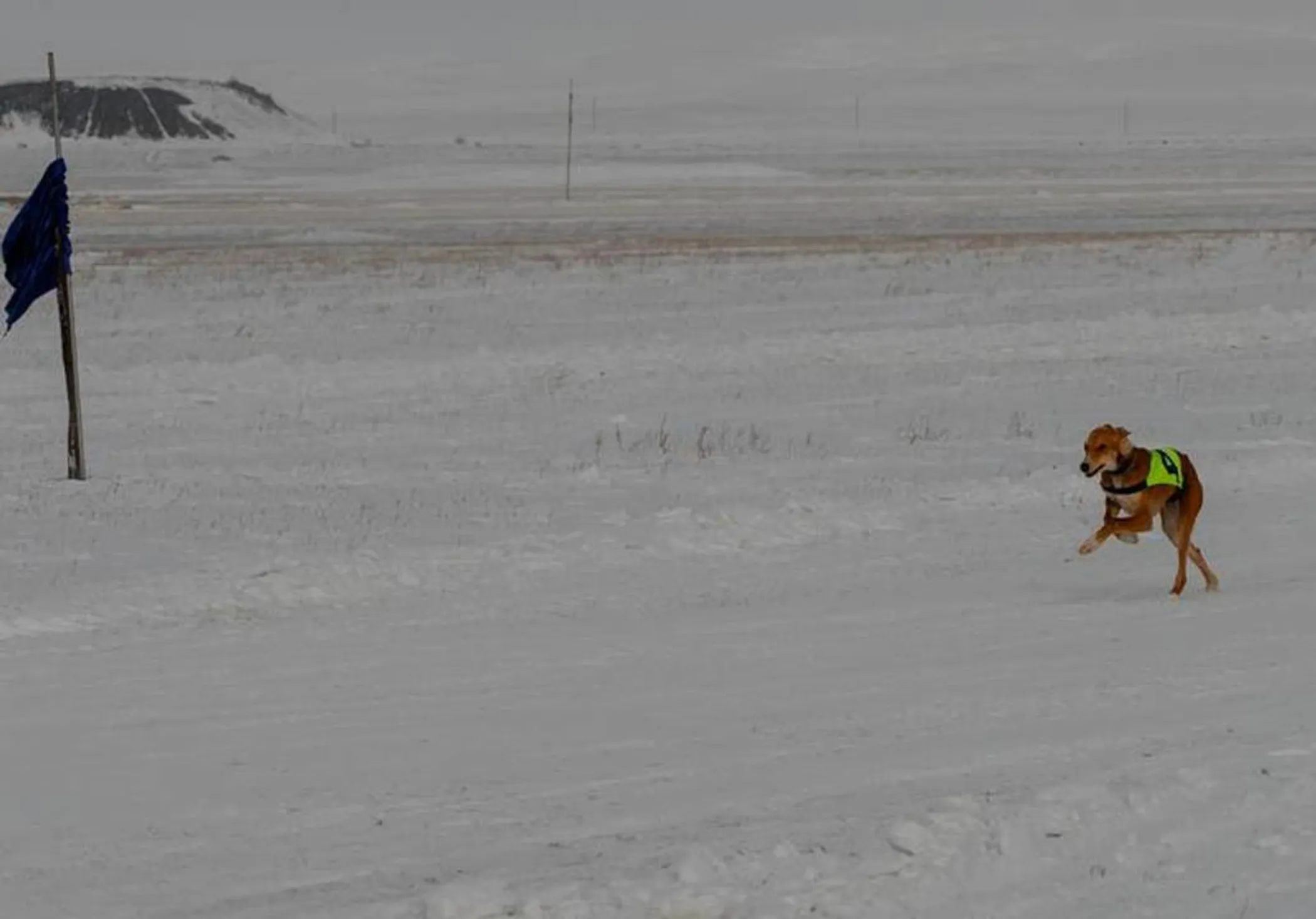 Фото: Қарағанды облысының әкімдігі