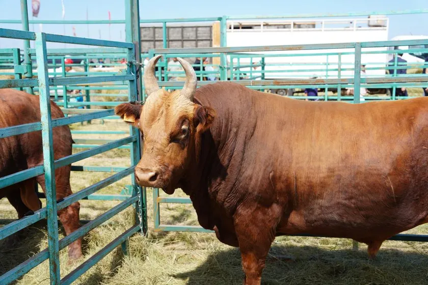 Фото: Минсельхоз РК