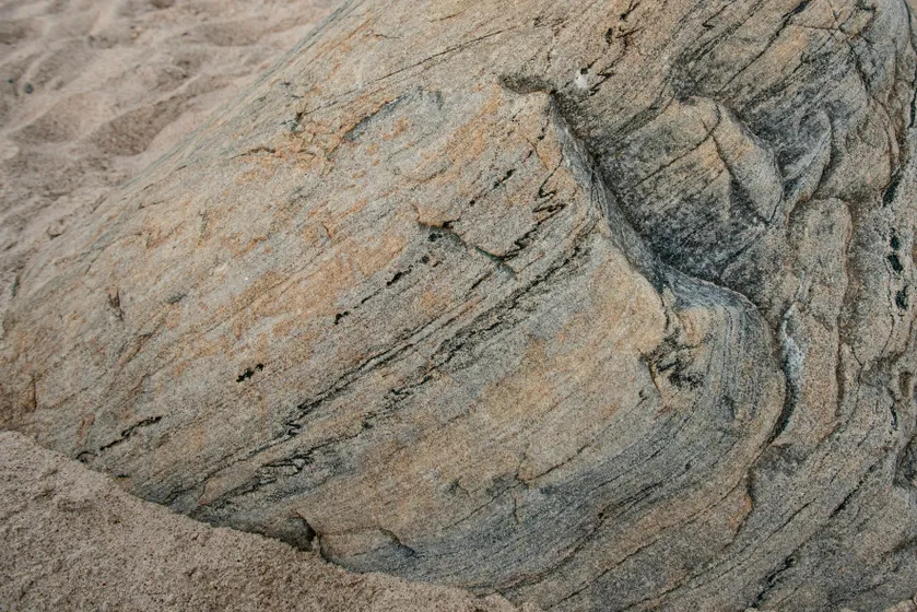 Pelexs / Renata Jurgutytė Adida