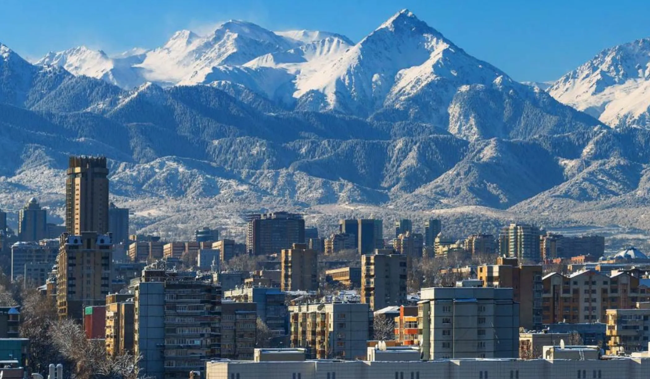 Фото акимата Алматы