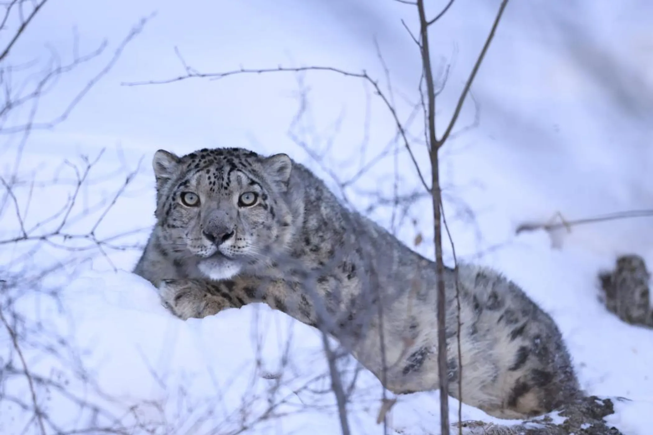 Фото: Минэкологии РК