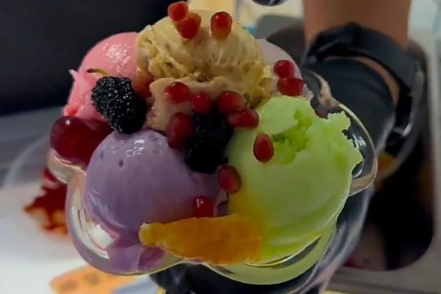 Акимат Алматинской области 