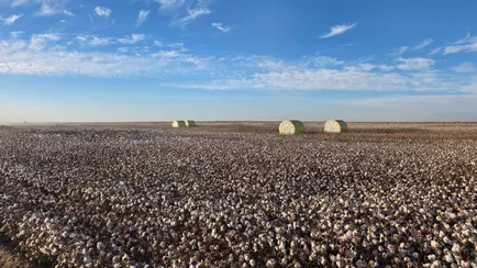 telegram / KZgovernment