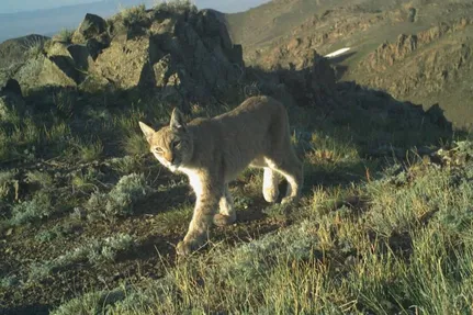 Charyn National Park 