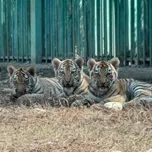 Акимат Алматы