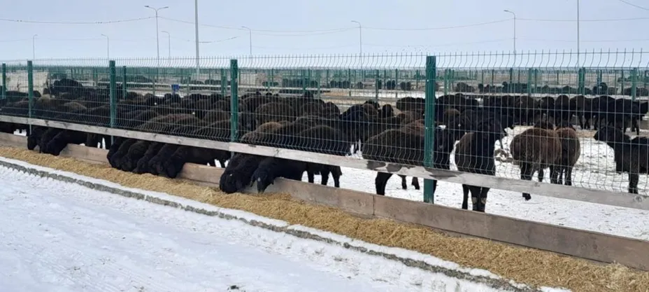 ҚР Ауыл шаруашылығы министрлігі