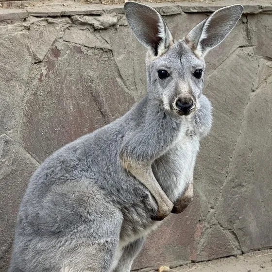 Акимат Алматы