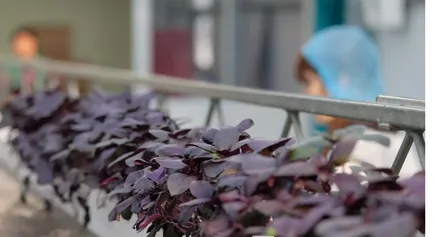 Фото: Kapital.kz