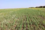 Министерство сельского хозяйства РК