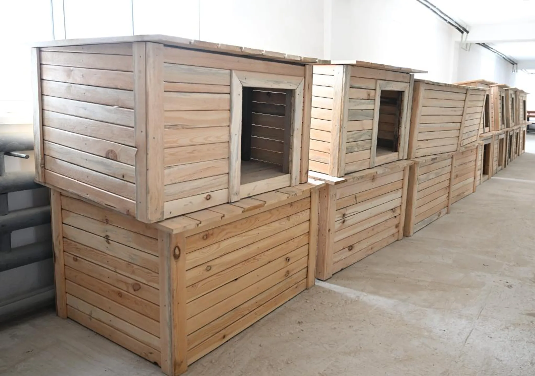 Фото: Дмитрий Ерофеев