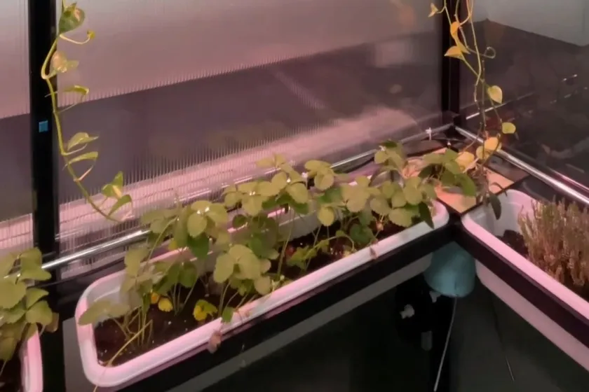 Министерство просвещения