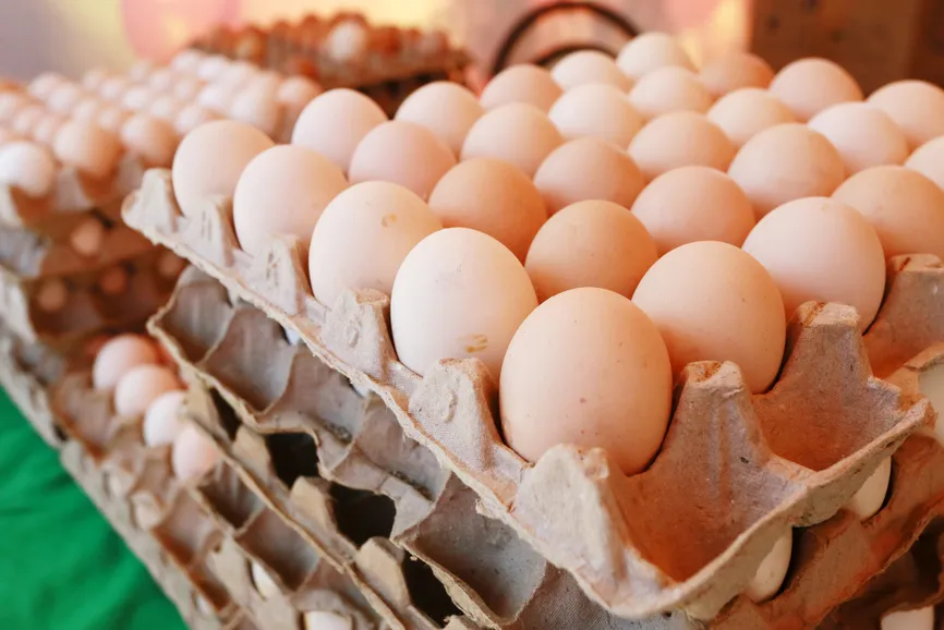 Руслан Пряников