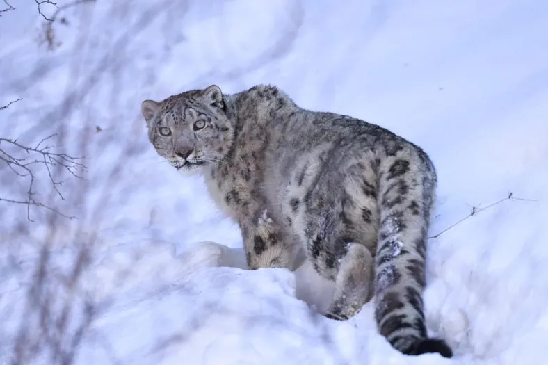 Фото: Минэкологии РК