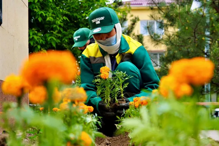 Фото: Түркістан облысының әкімдігі