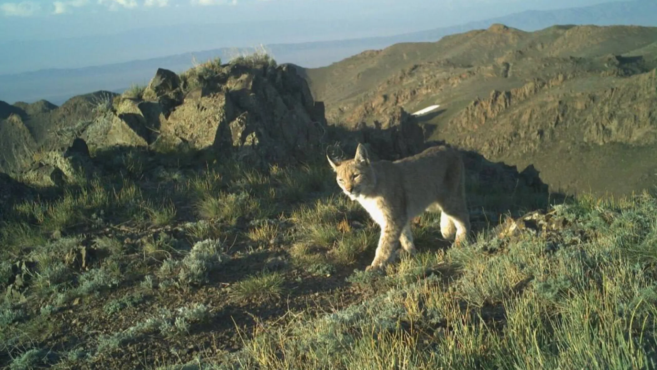 Charyn National Park 