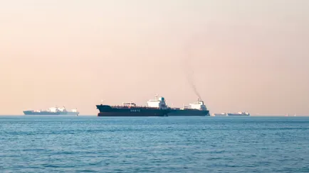 Pelexs / İrfan Simsar