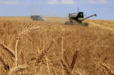 Руслан Пряников