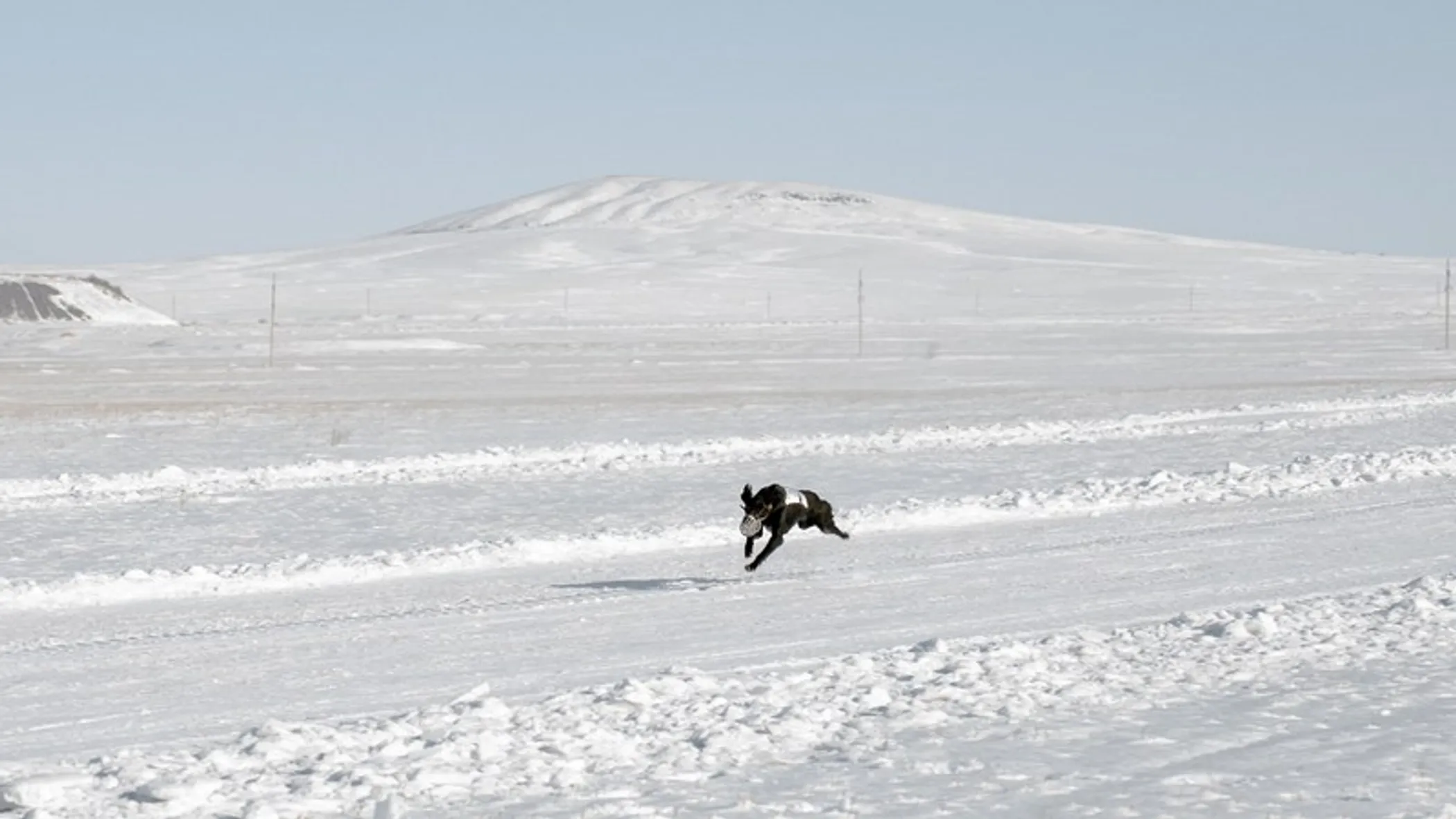 Акимат Карагандинской области