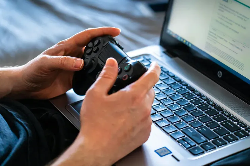 Castorly Stock/Pexels