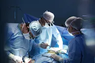 CARLOSCRUZ ARTEGRAFIA/pexels