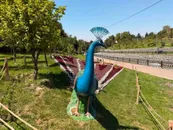 qazmonitor-image