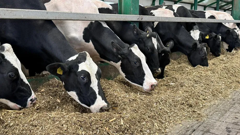 Минсельхоз