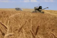 Руслан Пряников