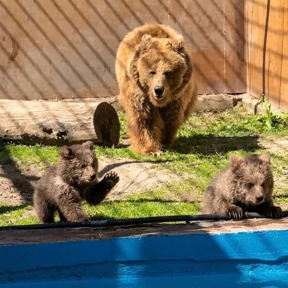 Акимат Алматы