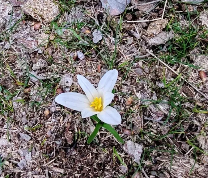 Фото: Ғани Назарбек