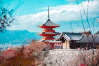 Songhan Wu / pexels
