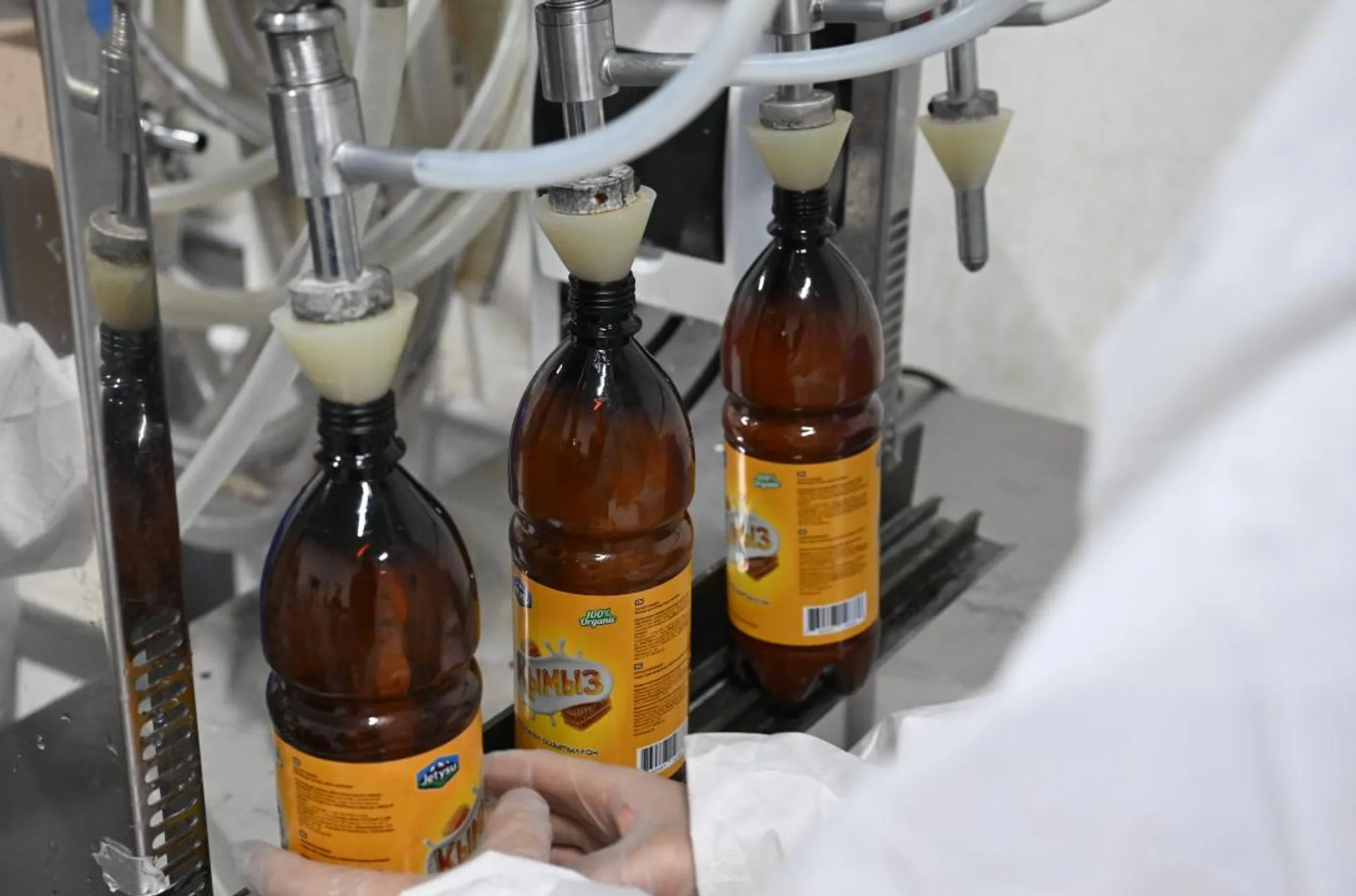 Фото: Дмитрий Ерофеев