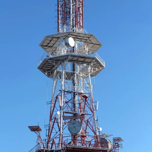 Roman Biernacki/Pexels