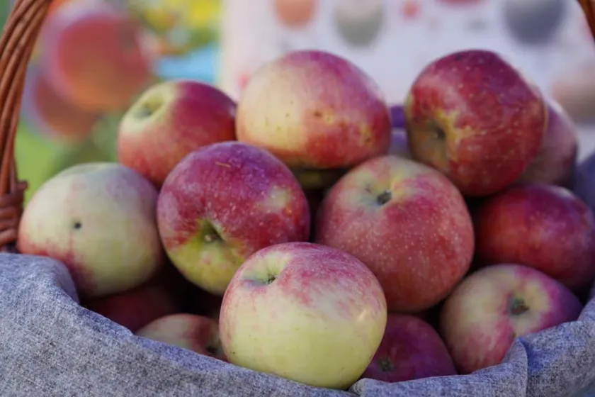 Ministry of Agriculture