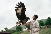 Акимат Алматы