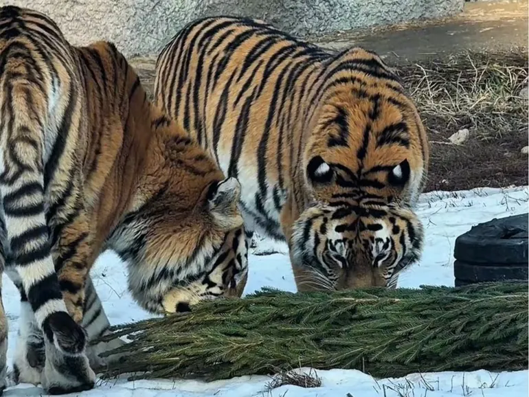 Фото: Алматинский зоопарк