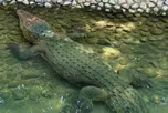 Акимат Алматы