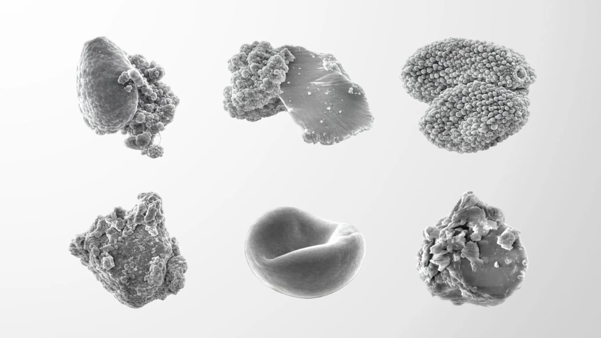 Воздух, которым мы дышим: частицы городского воздуха под микроскопом