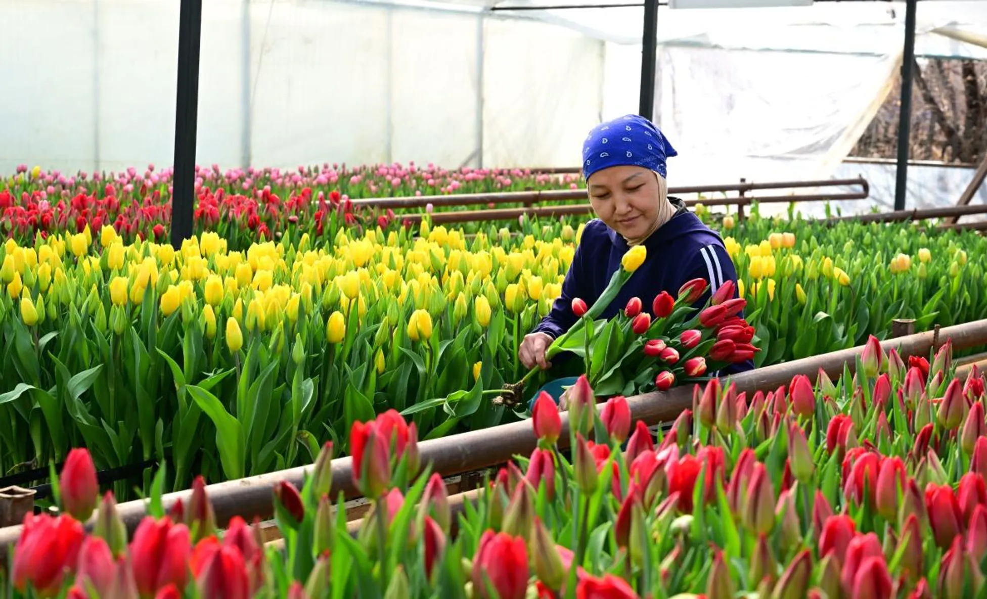 Дмитрий Ерофеев/Акимат области Жетысу