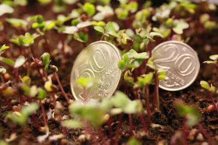 Руслан Пряников