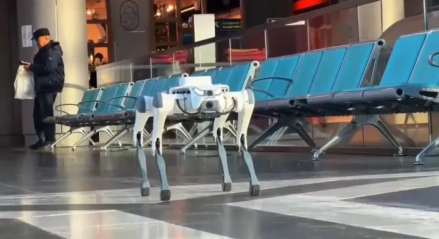 Бейнеден жасалған кадр