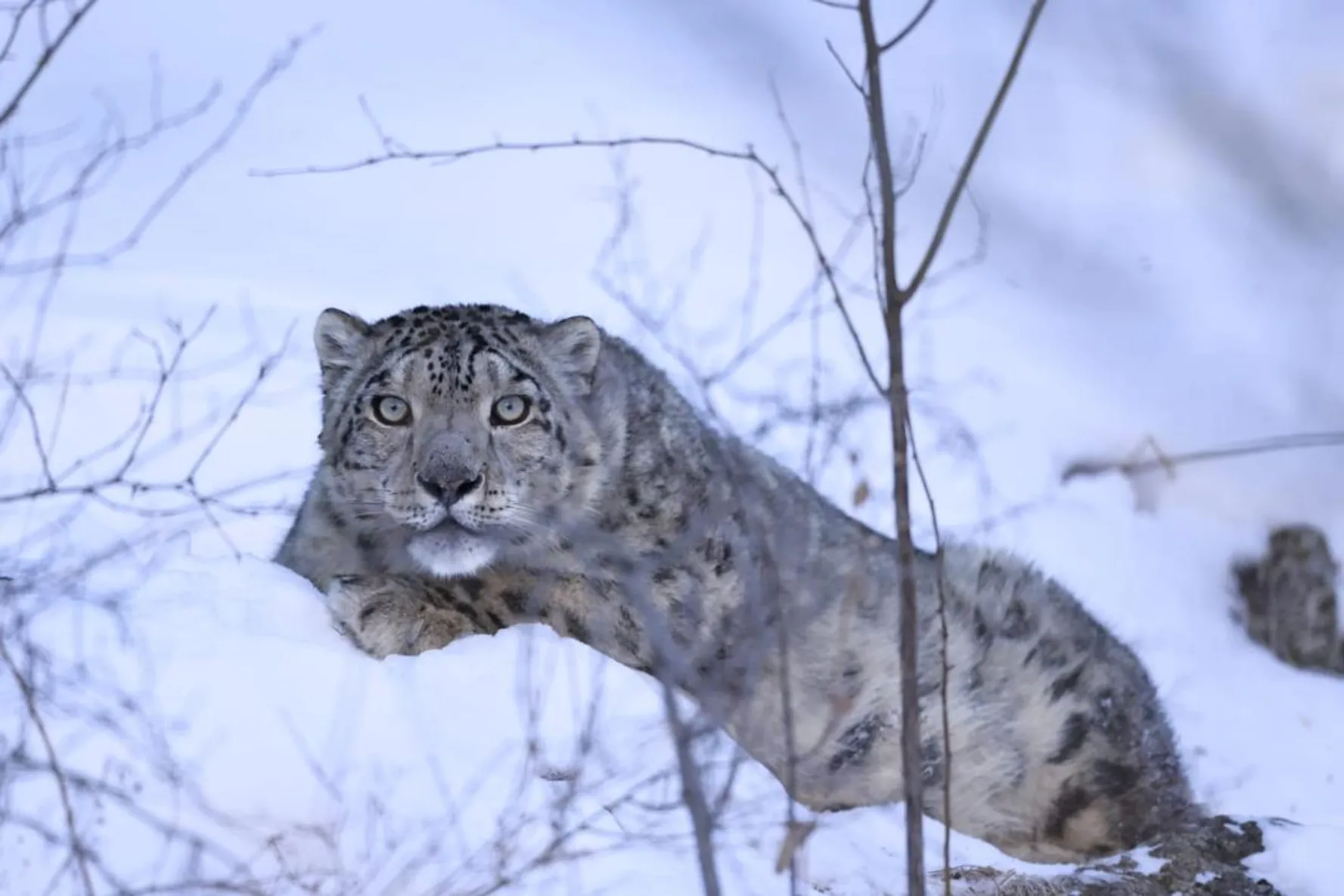 Фото: Минэкологии РК