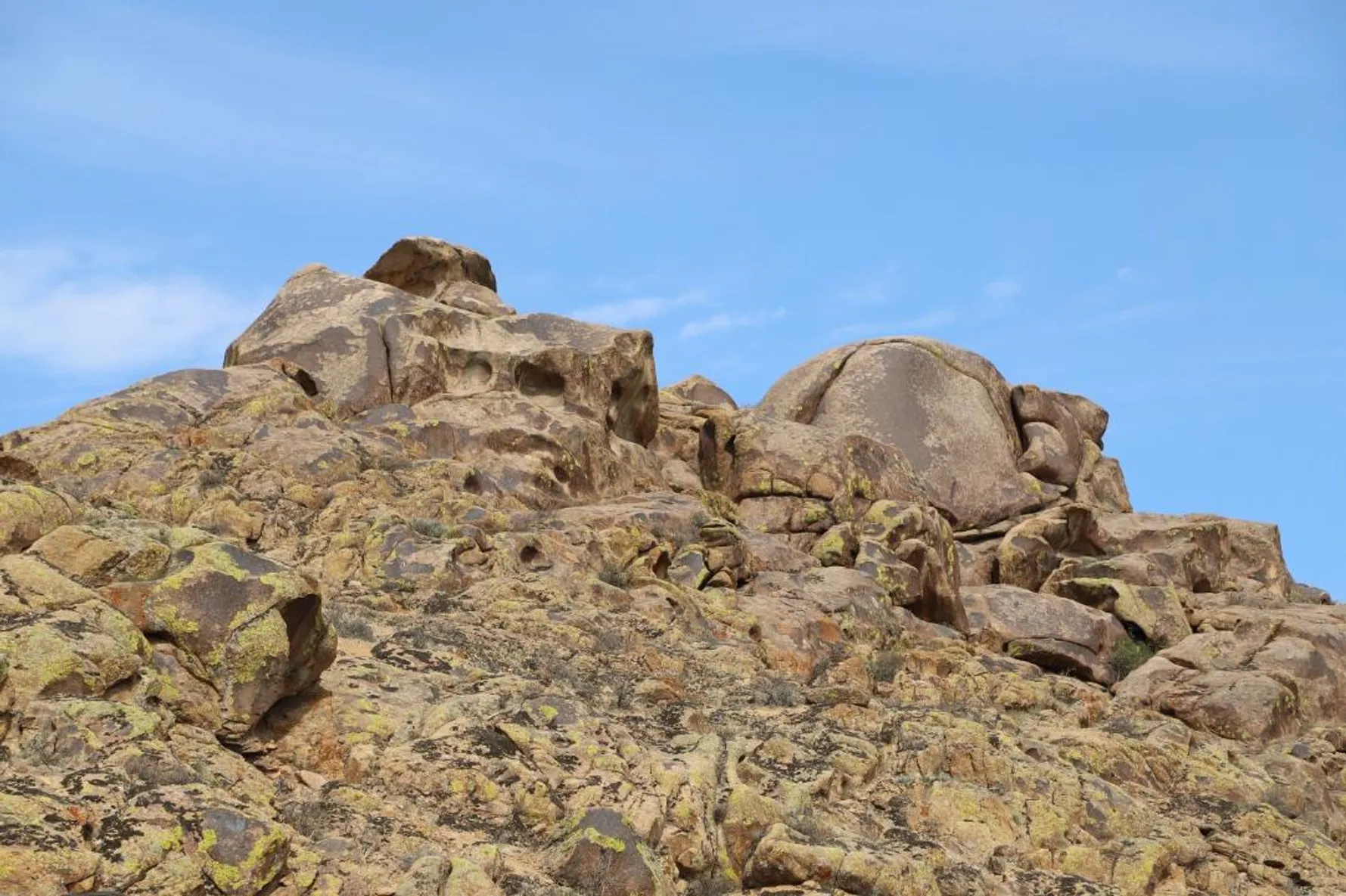 Фото: акимат области Жетысу