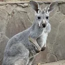 Акимат Алматы