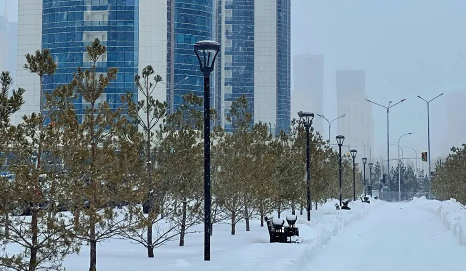 Фото: Aibek Skakov/pexels