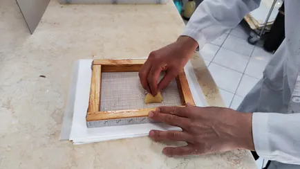 Ministry of Culture and Information