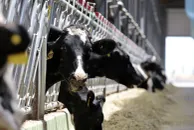 Руслан Пряников