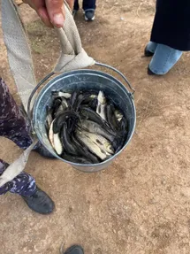 ҚР Ауыл шаруашылығы министрлігі