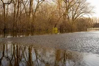 Фото: Tom Fisk/pexels