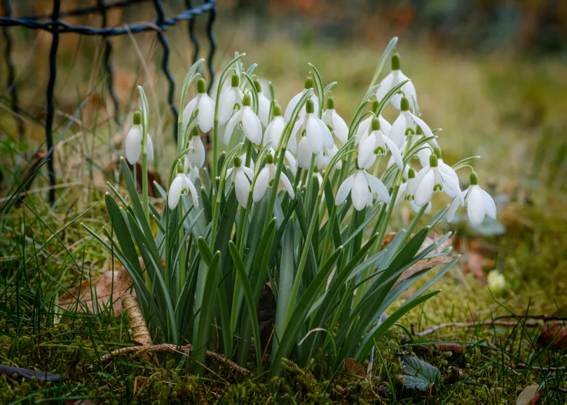 Alfred Eschwe/pexels