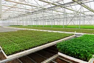 Түркістан облысының әкімдігі